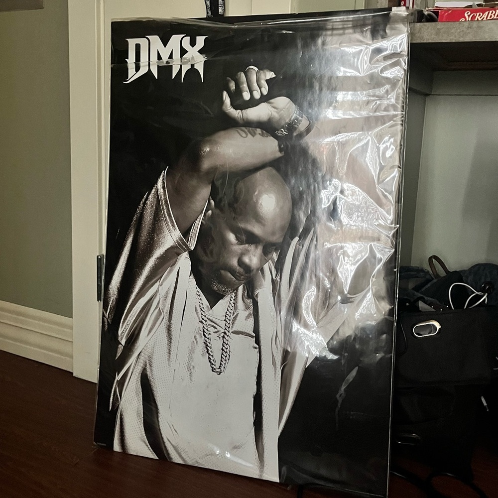 DMX poster